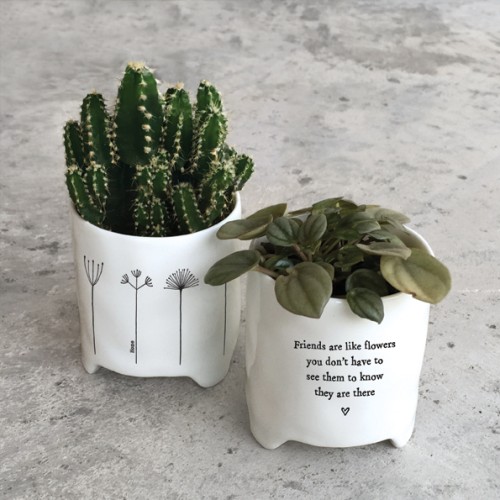 East of India Mini Planter - Friends are like Flowers East of India Mini Planter - Friends are like Flowers