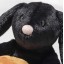 Steiff Mr Spice Hoppie Rabbit Steiff Mr Spice Hoppie Rabbit